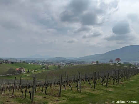 Seja Združenja zgodovinskih mest v Slovenskih Konjicah (5)